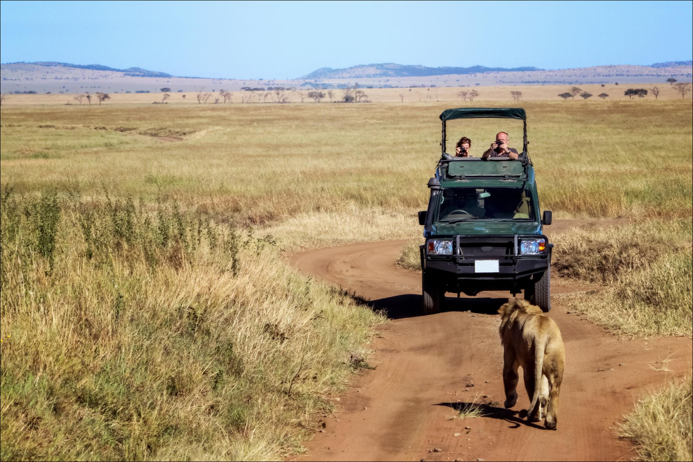 tanzania private safari