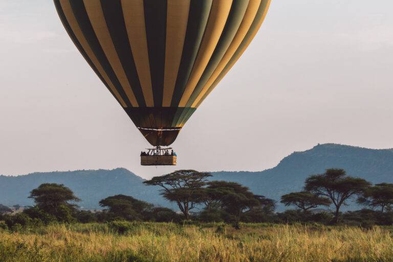 Best Safaris in Tanzania – Discover Africa’s Most Iconic Wildlife Adventures​