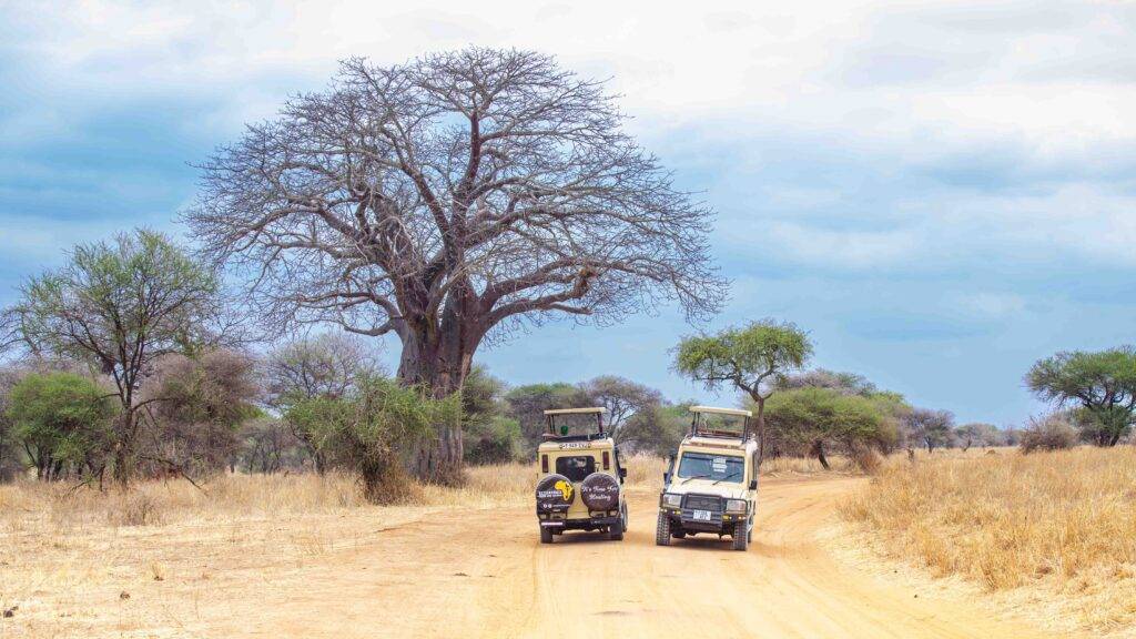 great migration in Kenya and Tanzania