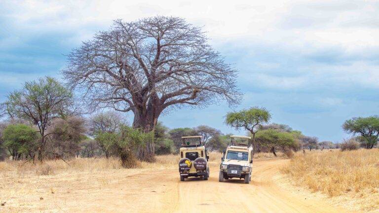 great migration in Kenya and Tanzania