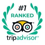 tripadvisor